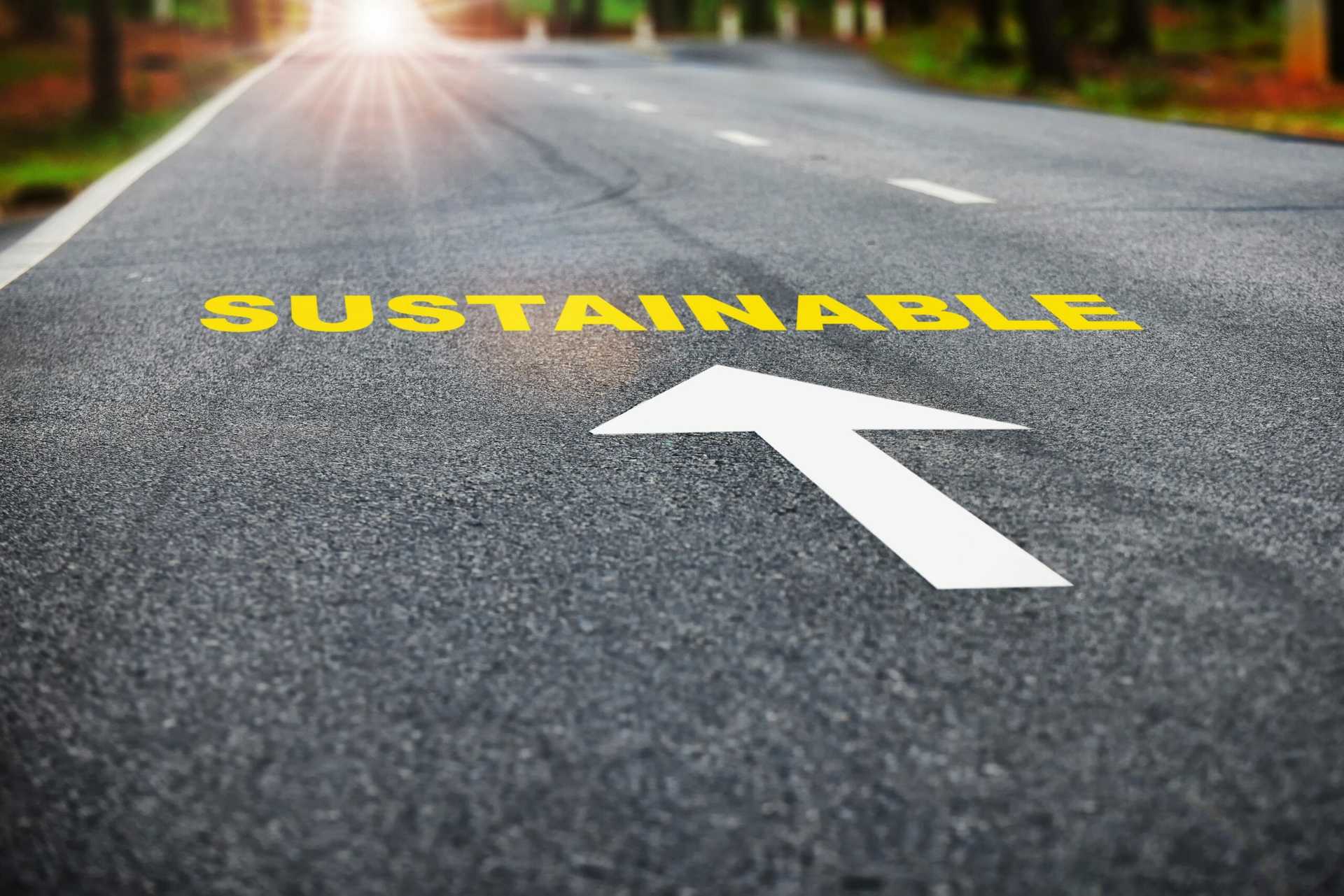 Sustainable Local Authorities Lifecycle Planning Highway Assets